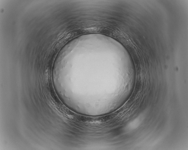 X0000071840647200607290108