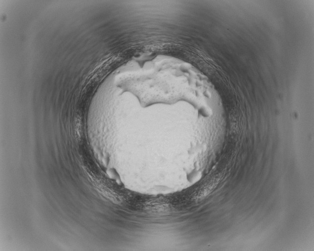 X0000071840648200607290108