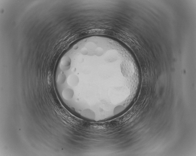 X0000071840649200607290108