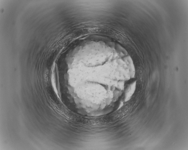 X0000071840650200607290109