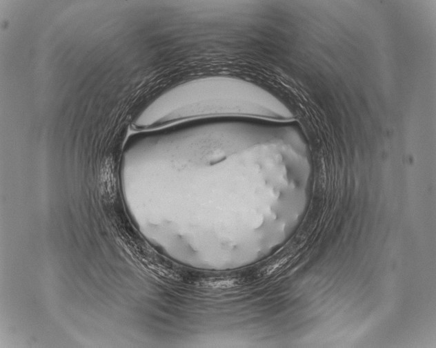 X0000071840651200607290109