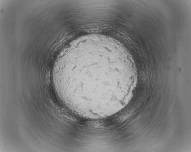 X0000071840652200607290109