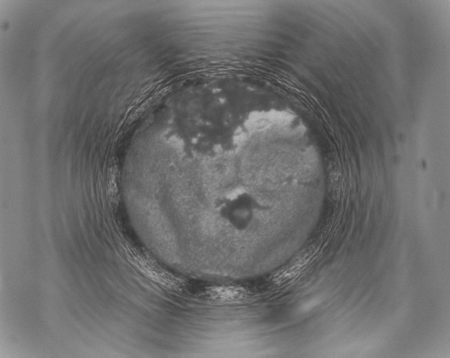 X0000071840654200607290109