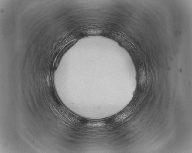 X0000071840655200607290109