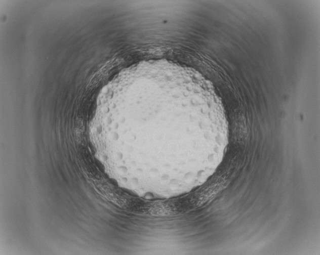 X0000071840656200607290109