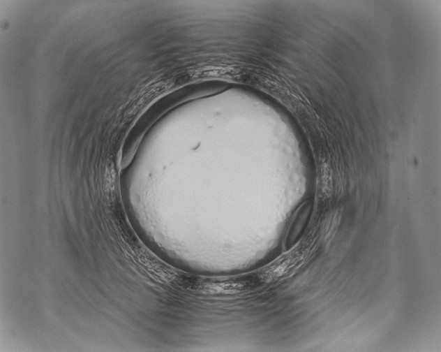 X0000071840657200607290109