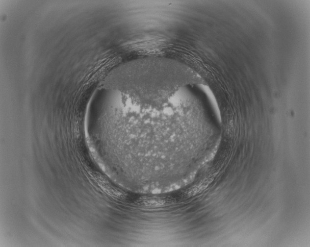 X0000071840658200607290109