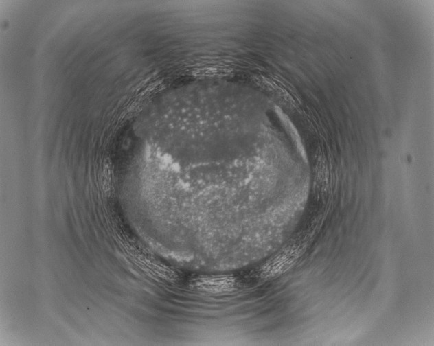 X0000071840659200607290109