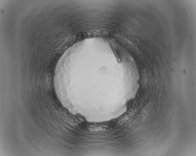 X0000071840661200607290109