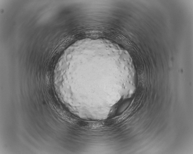 X0000071840662200607290109