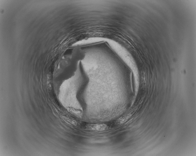 X0000071840663200607290109