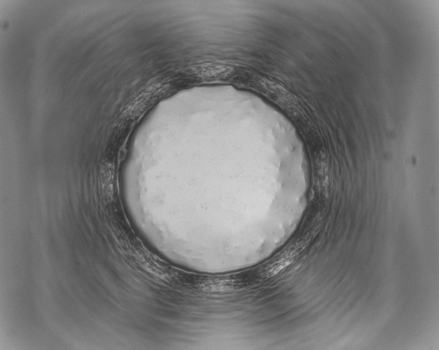 X0000071840664200607290109