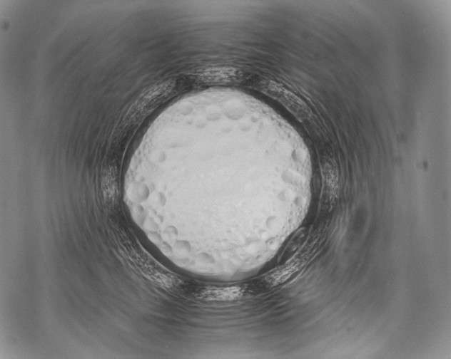 X0000071840665200607290109