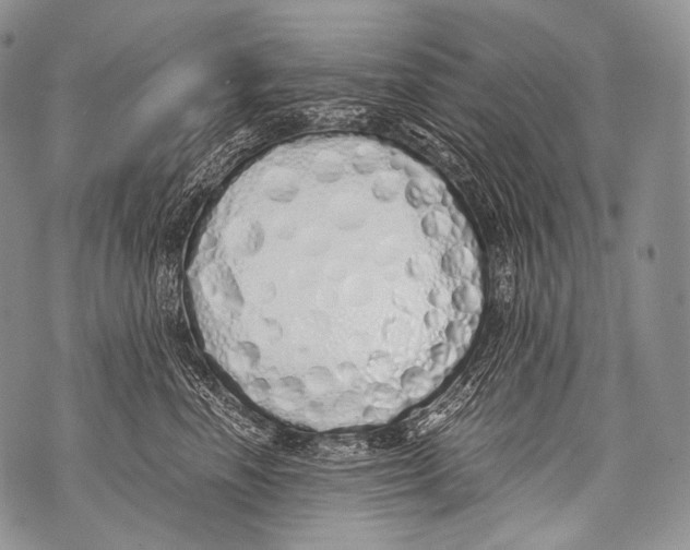 X0000071840666200607290109