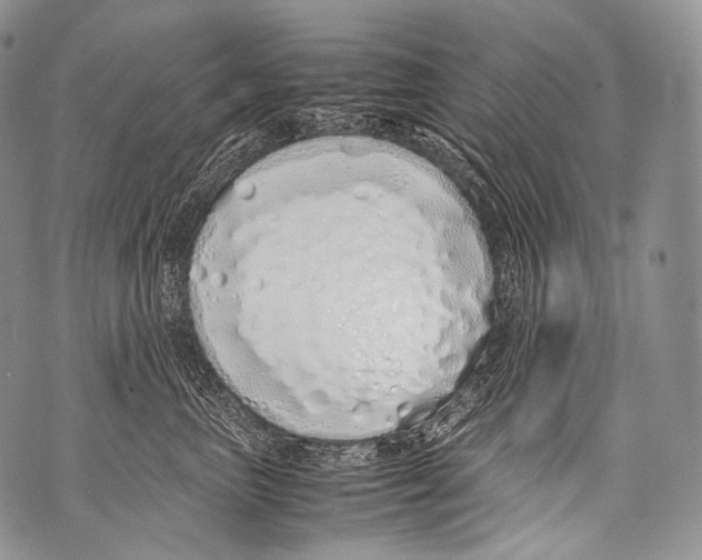 X0000071840667200607290109