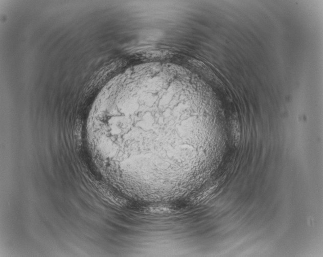 X0000071840668200607290109