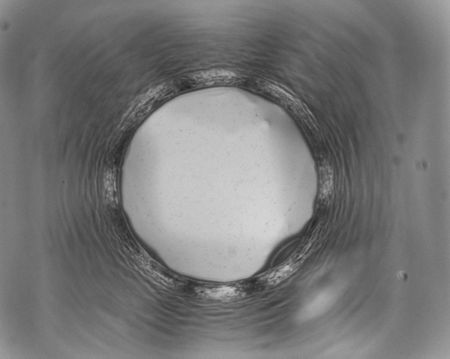 X0000071840669200607290109