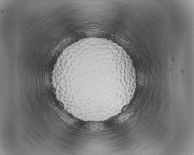 X0000071840670200607290109