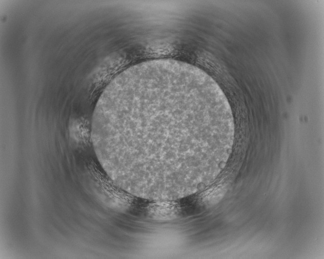 X0000071840672200607290109