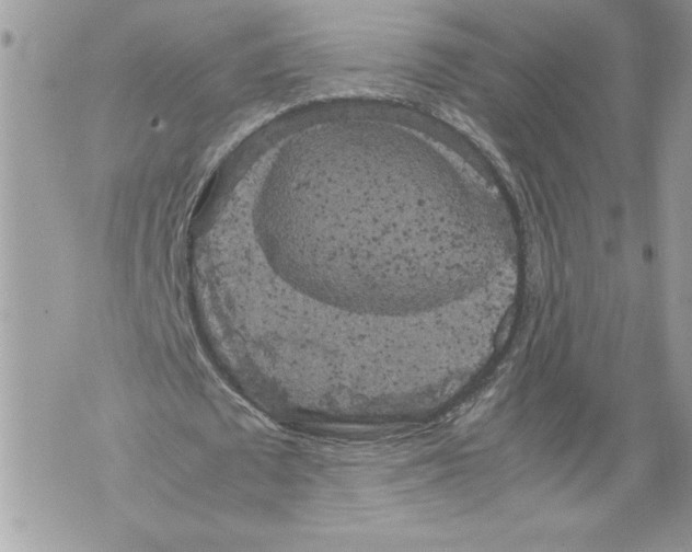 X0000071840673200607290108