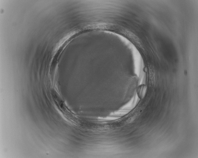 X0000071840674200607290108