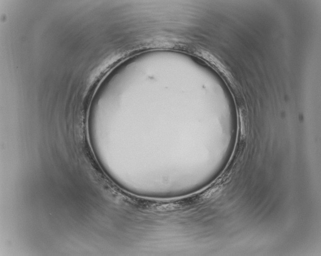 X0000071840675200607290108