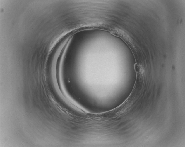 X0000071840676200607290108