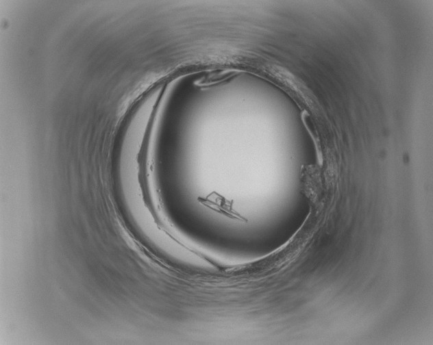 X0000071840677200607290108