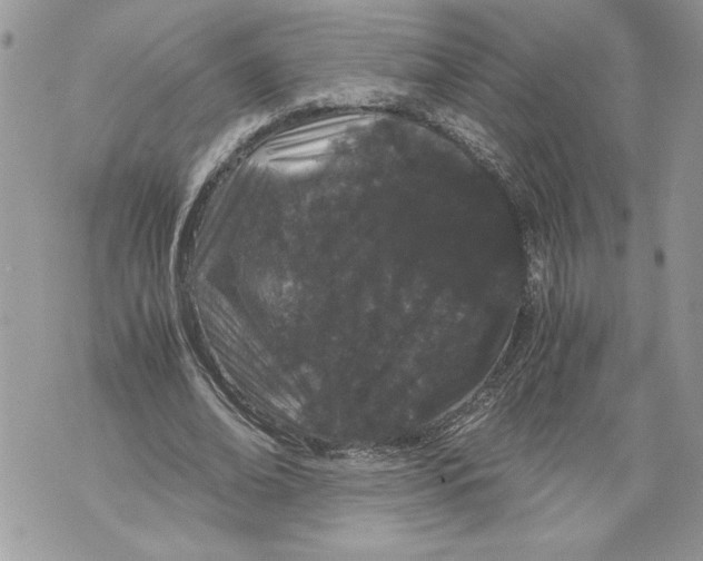 X0000071840678200607290108