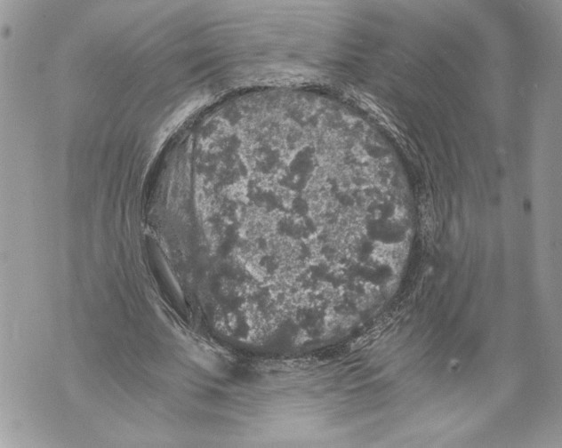 X0000071840679200607290108