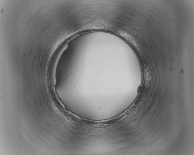 X0000071840680200607290108