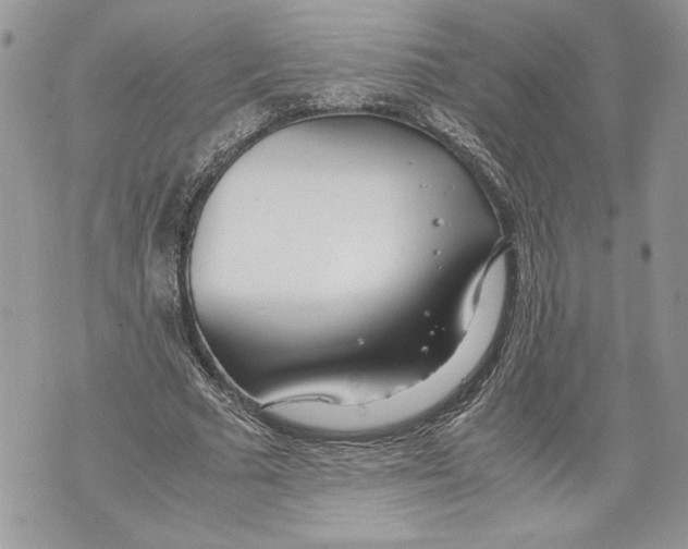 X0000071840681200607290108