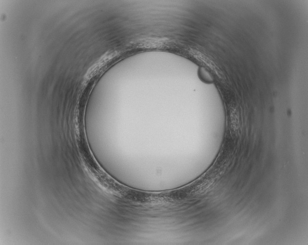 X0000071840682200607290108