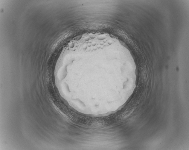 X0000071840683200607290108