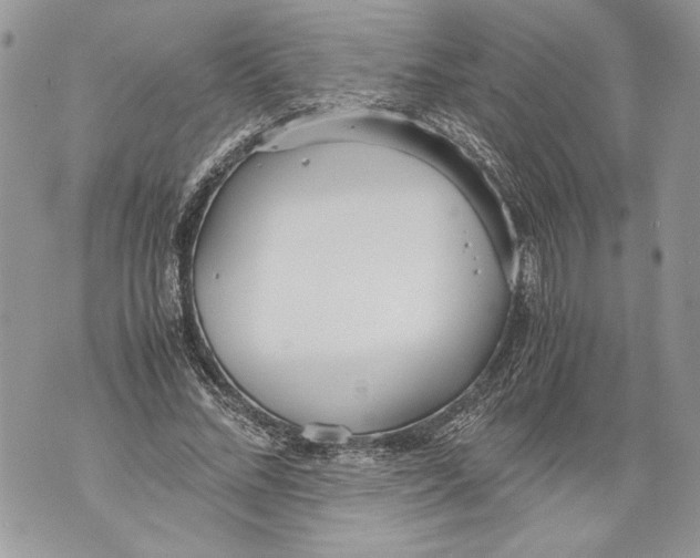 X0000071840684200607290108