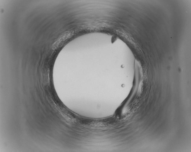 X0000071840685200607290108