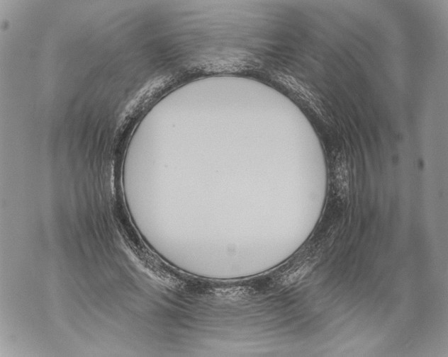 X0000071840686200607290108