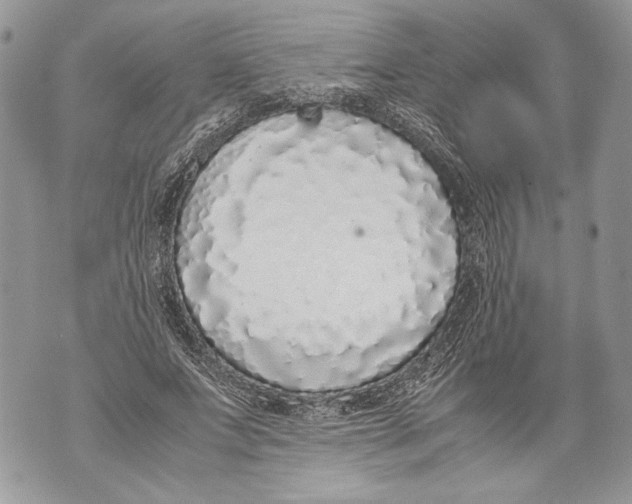 X0000071840687200607290108