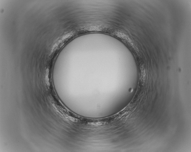 X0000071840688200607290108