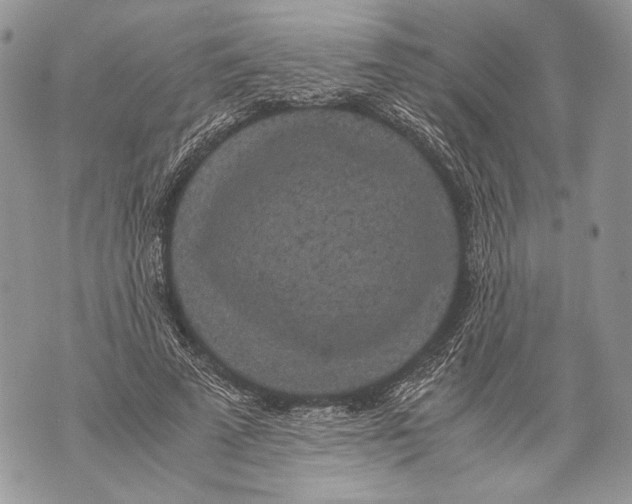 X0000071840689200607290108