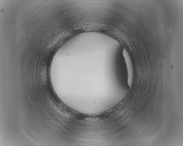 X0000071840690200607290108