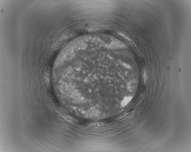 X0000071840691200607290108