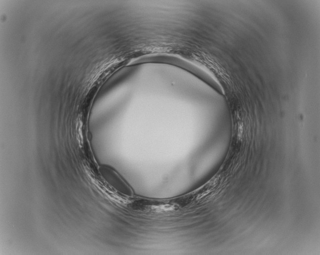 X0000071840692200607290108