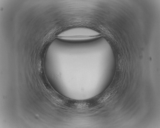 X0000071840693200607290108