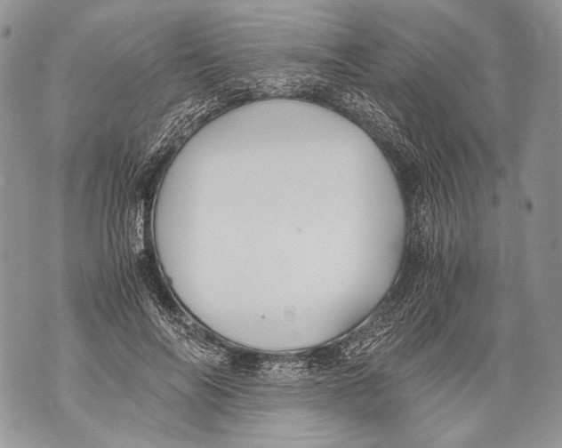 X0000071840694200607290108