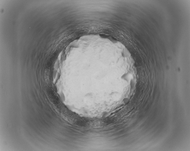 X0000071840695200607290108