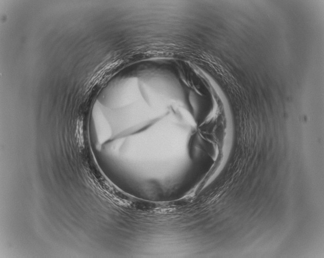 X0000071840696200607290108