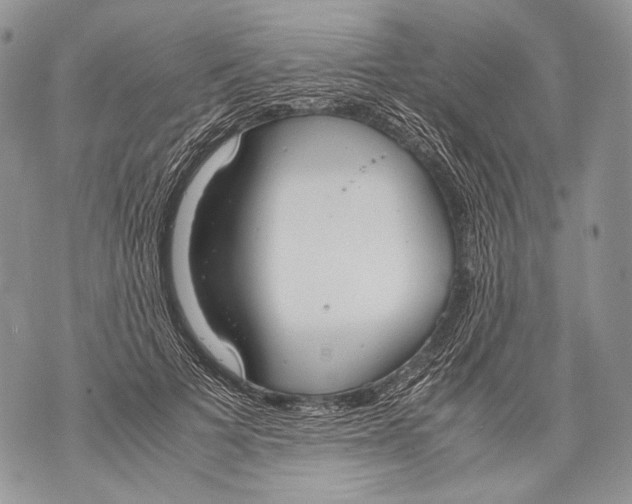 X0000071840697200607290108