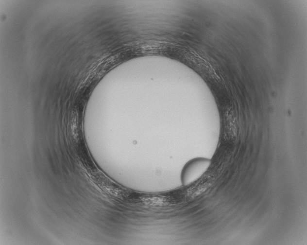 X0000071840698200607290108