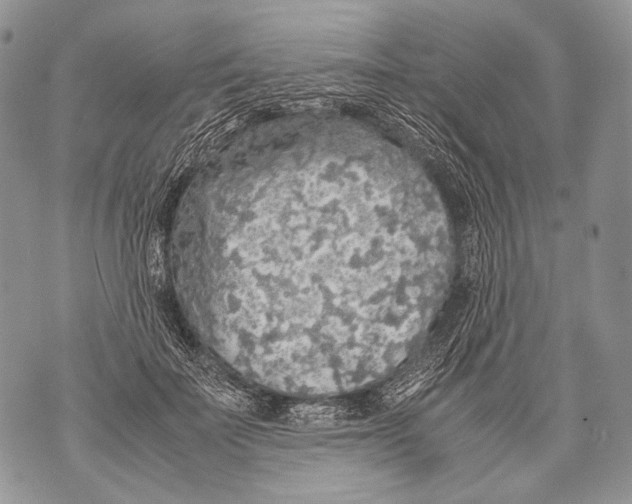 X0000071840699200607290108